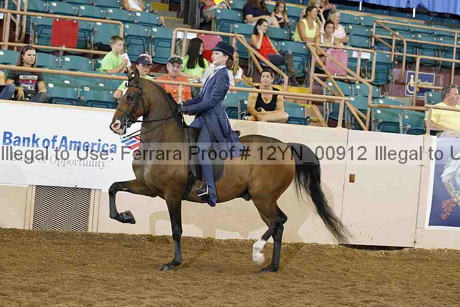 Proof 12yn_00912