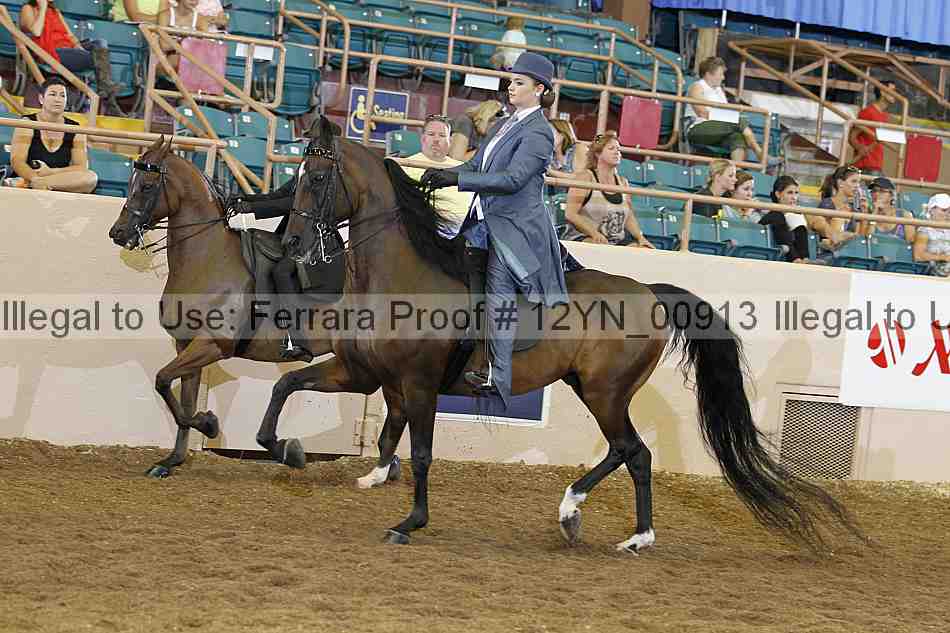 Proof 12yn_00913