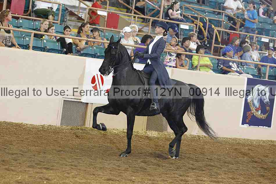 Proof 12yn_00914