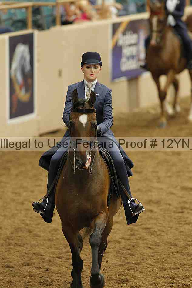 Proof 12yn_00915