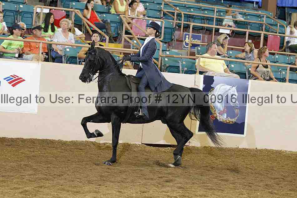 Proof 12yn_00916