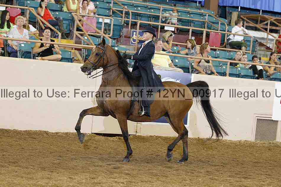 Proof 12yn_00917