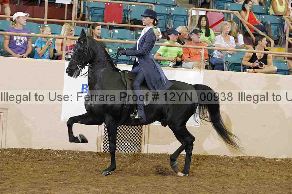 Proof 12yn_00938