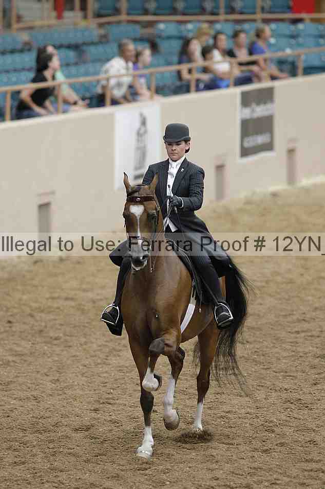 Proof 12yn_00945