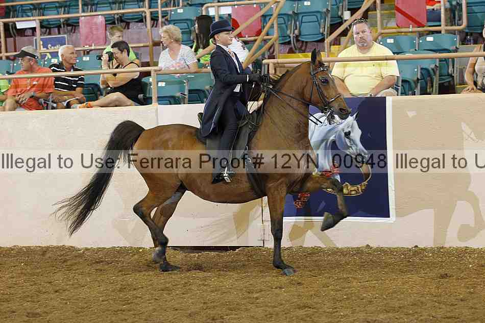 Proof 12yn_00948