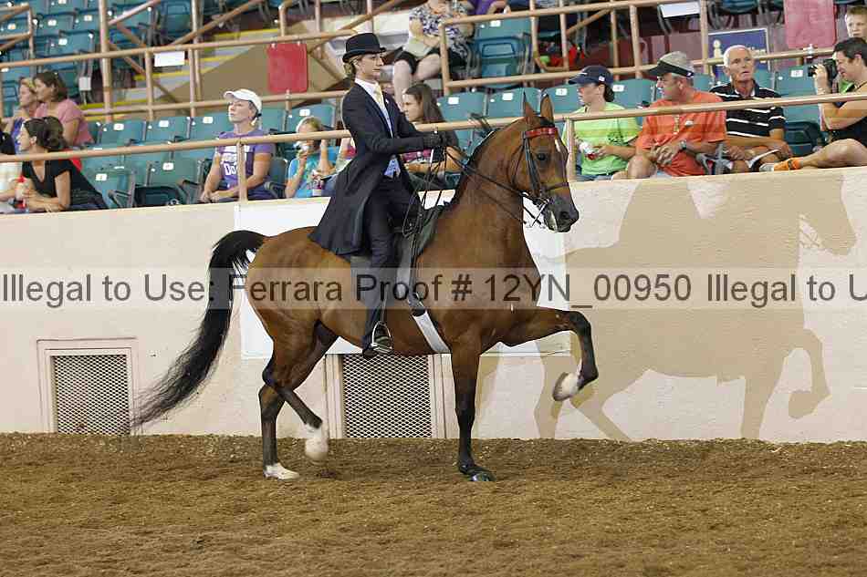 Proof 12yn_00950