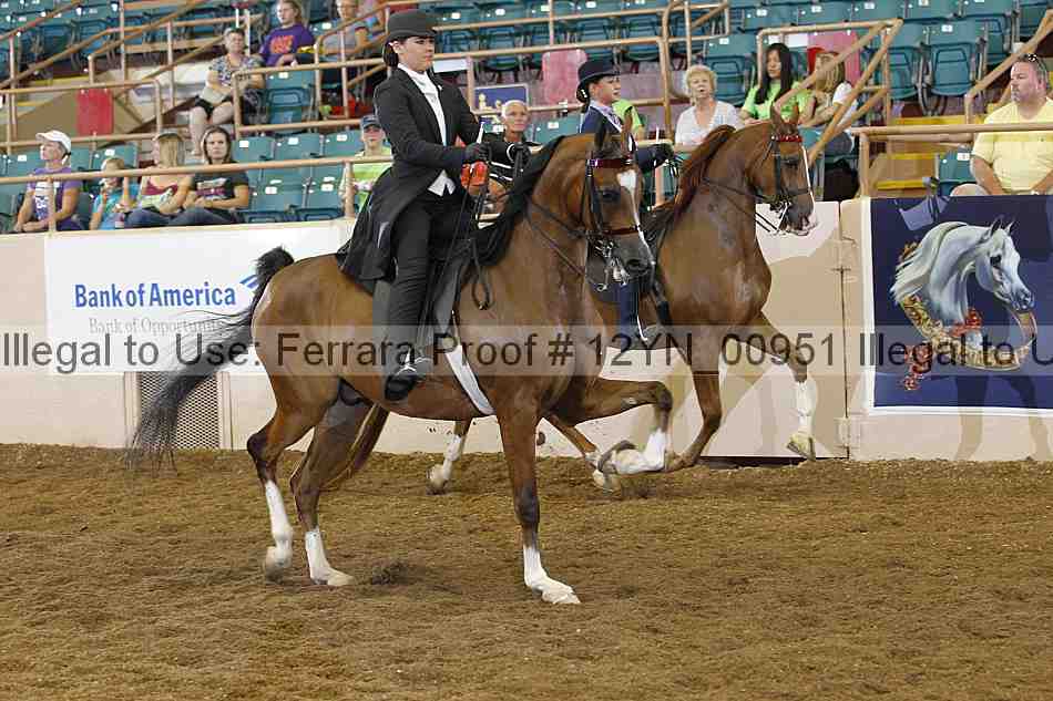 Proof 12yn_00951
