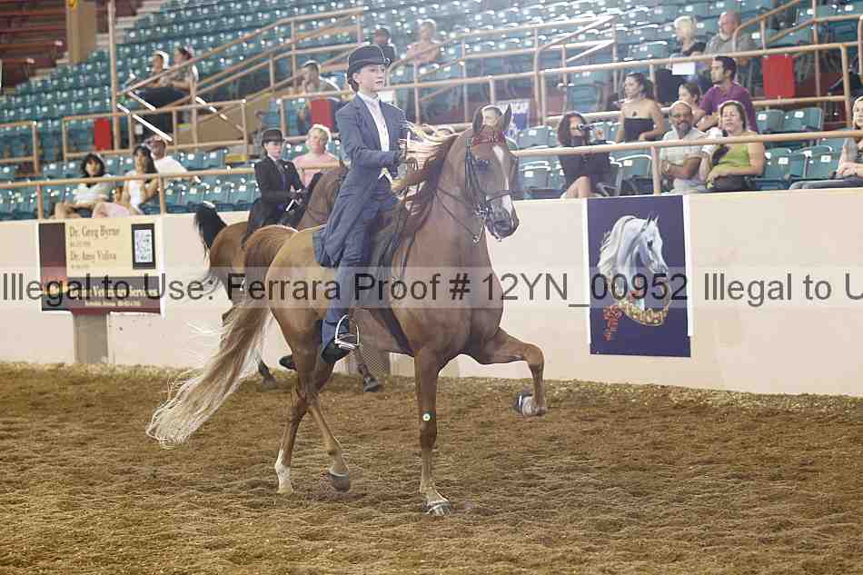 Proof 12yn_00952