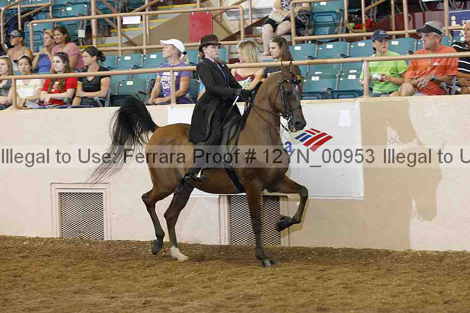 Proof 12yn_00953