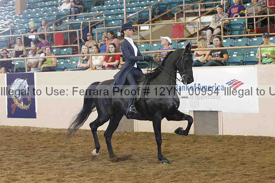 Proof 12yn_00954
