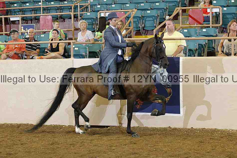 Proof 12yn_00955