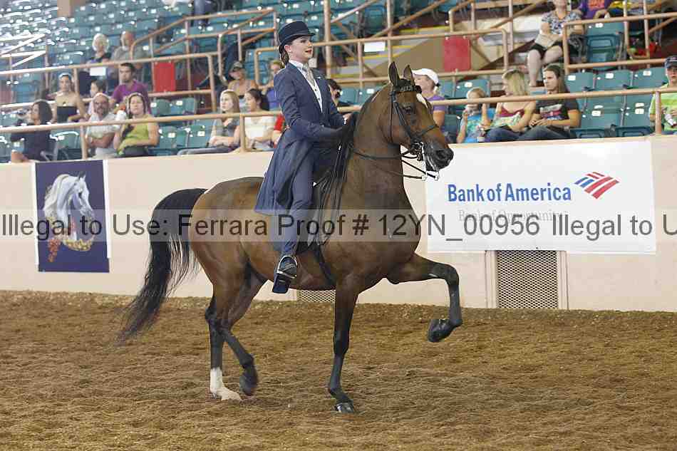 Proof 12yn_00956