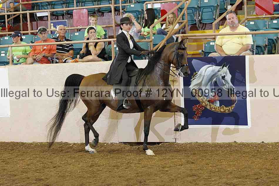 Proof 12yn_00958