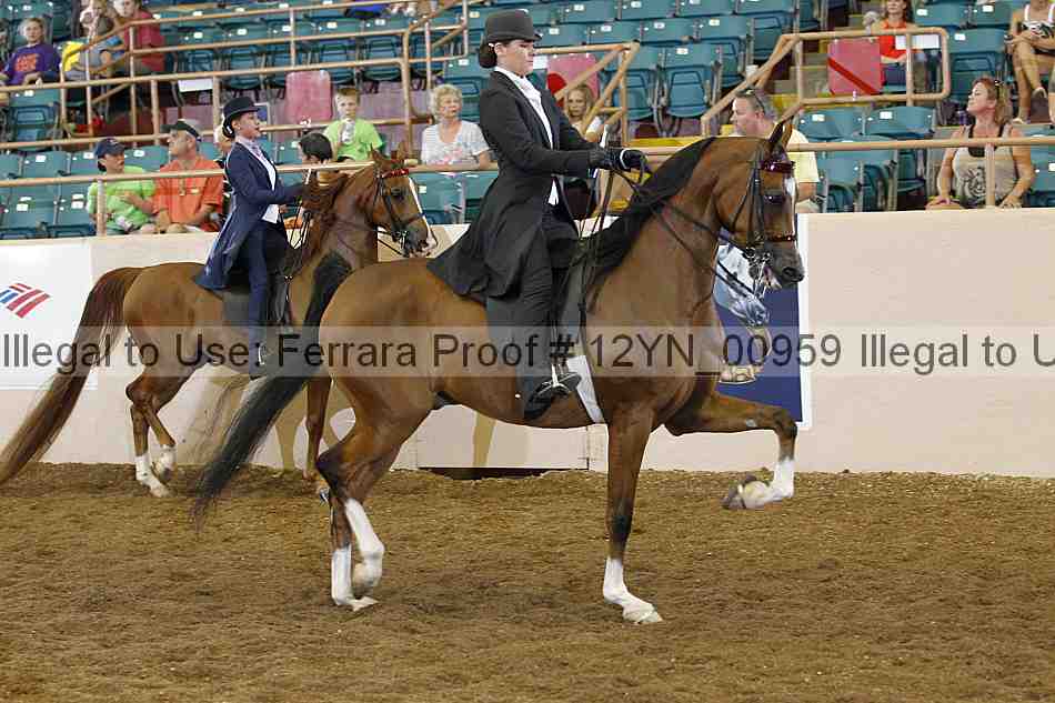 Proof 12yn_00959