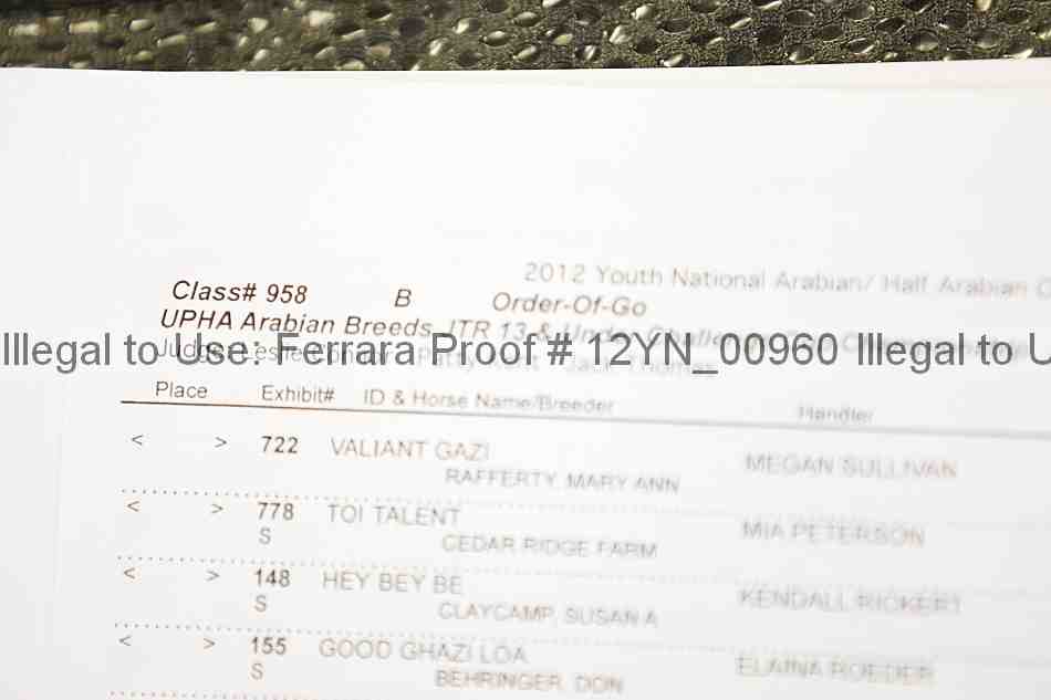 Proof 12yn_00960