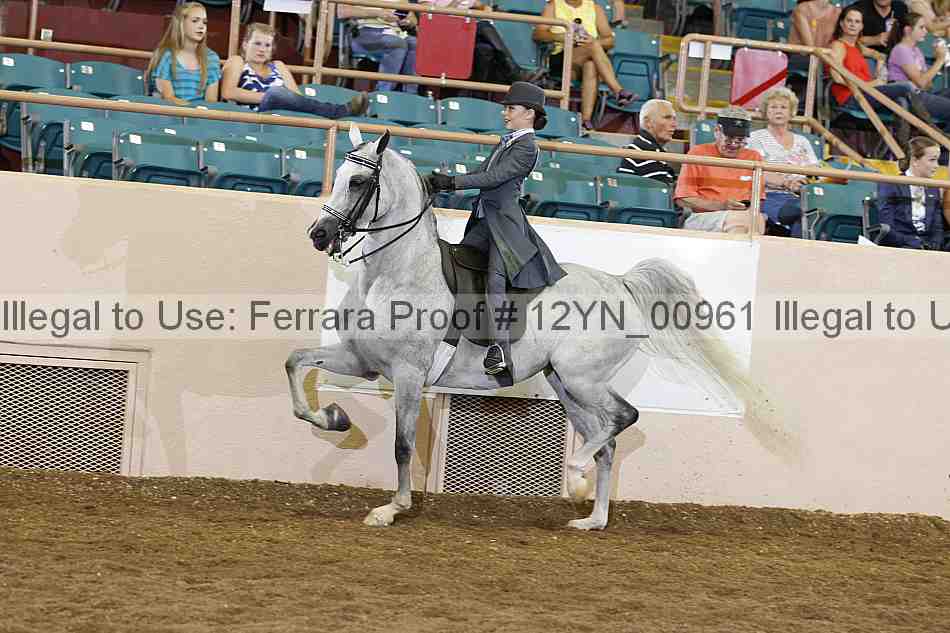 Proof 12yn_00961