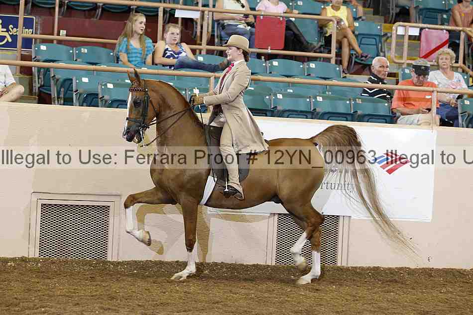 Proof 12yn_00963