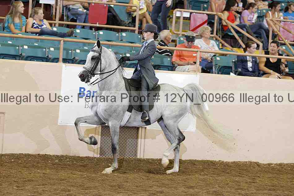 Proof 12yn_00966