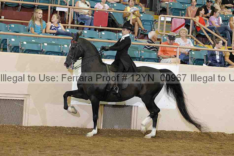 Proof 12yn_00967