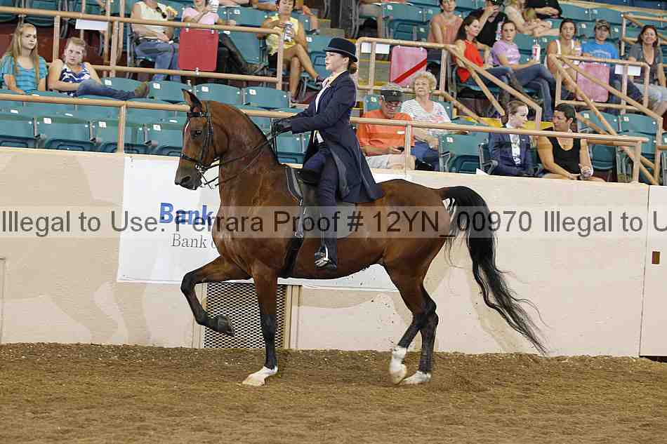 Proof 12yn_00970