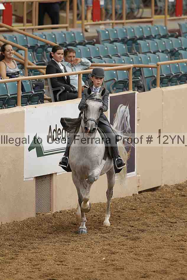 Proof 12yn_00971