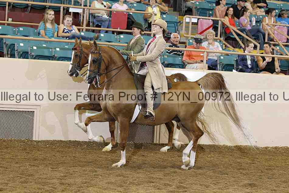 Proof 12yn_00972