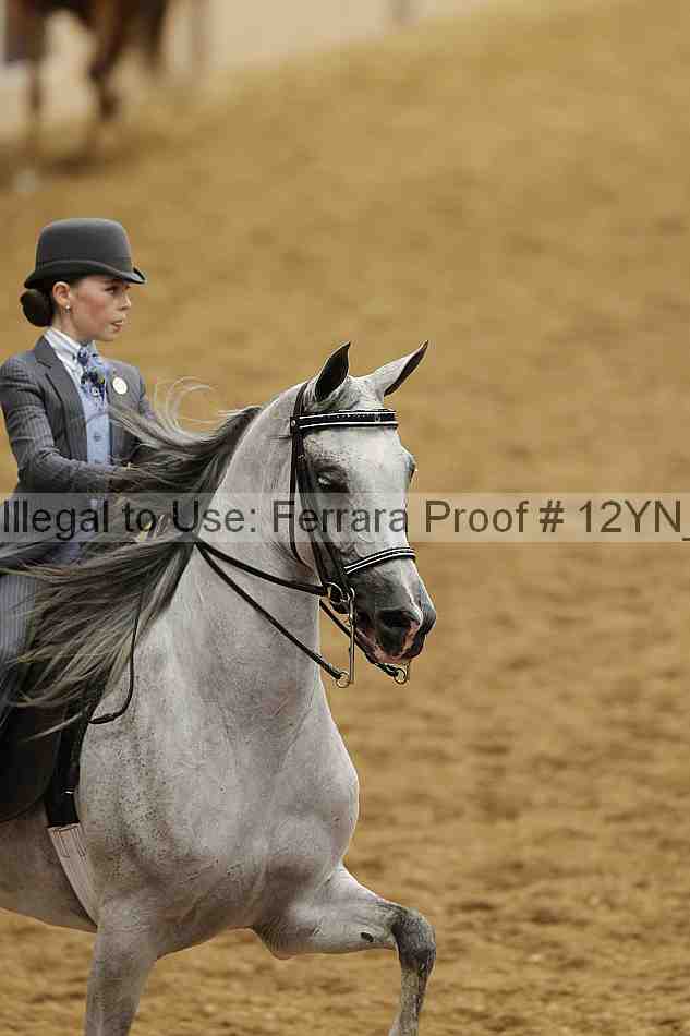Proof 12yn_00973
