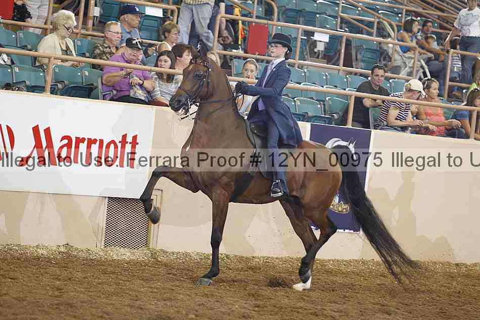 Proof 12yn_00975