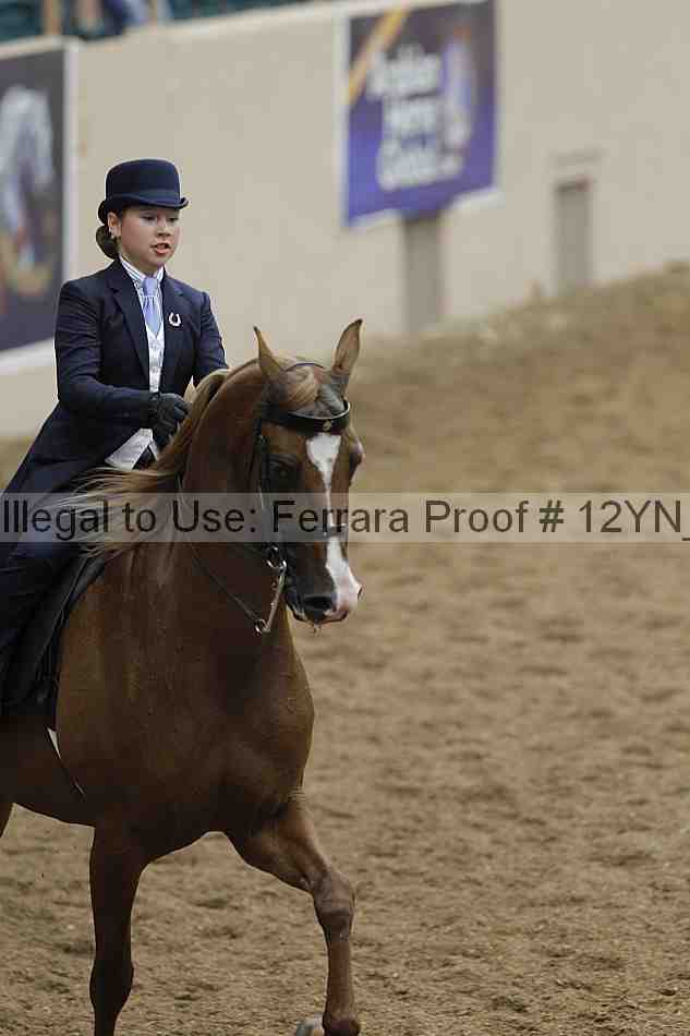 Proof 12yn_00976