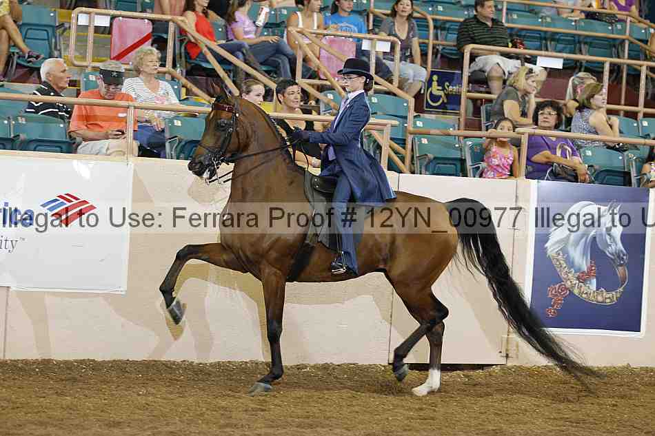 Proof 12yn_00977