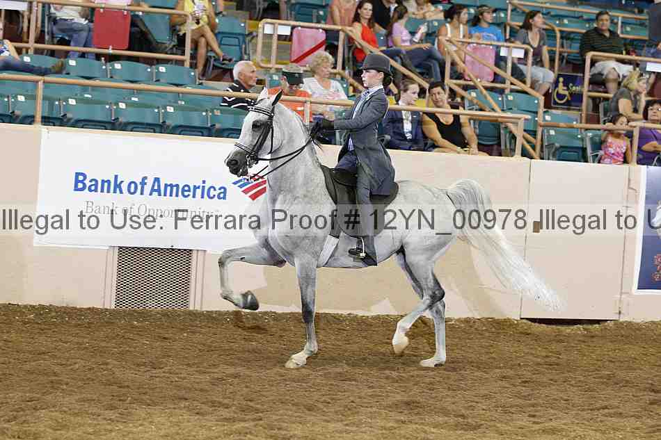 Proof 12yn_00978