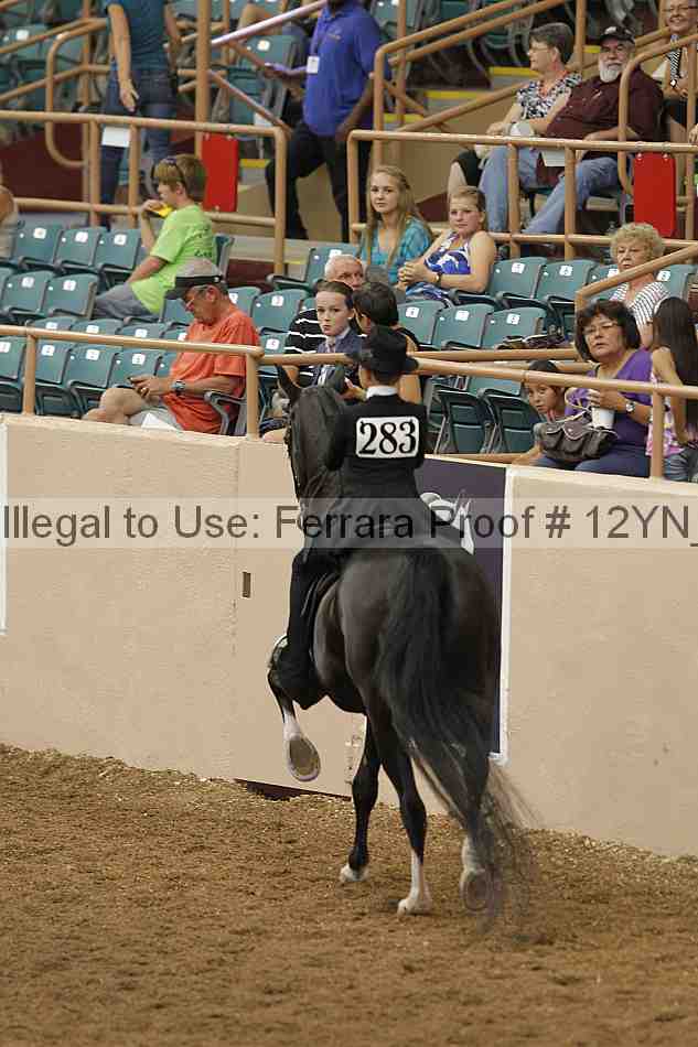 Proof 12yn_00979