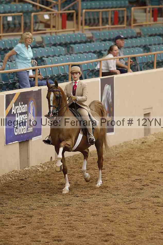 Proof 12yn_00980