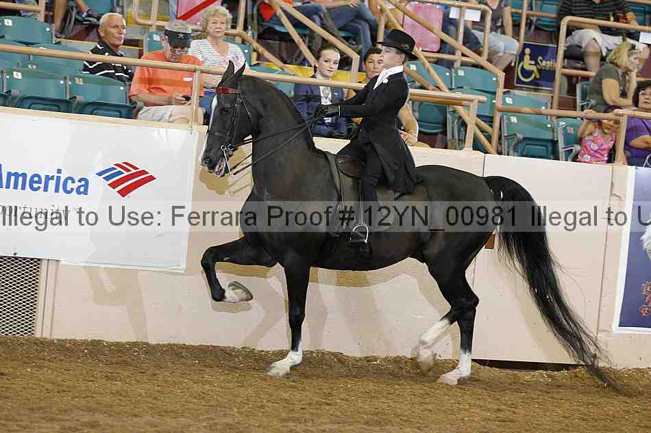 Proof 12yn_00981
