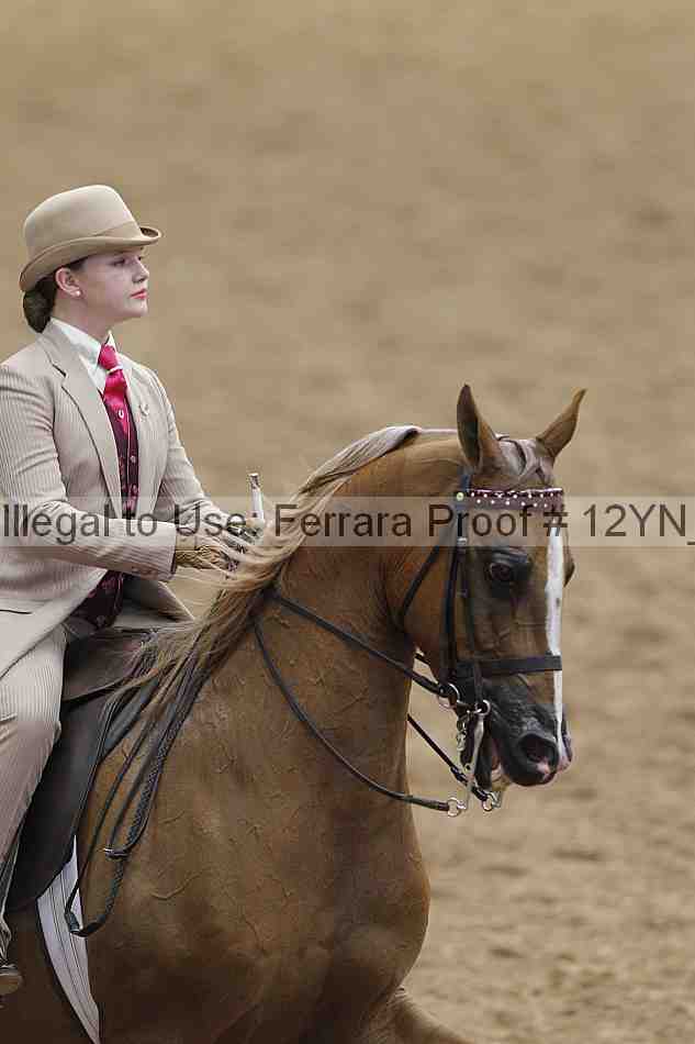 Proof 12yn_00984