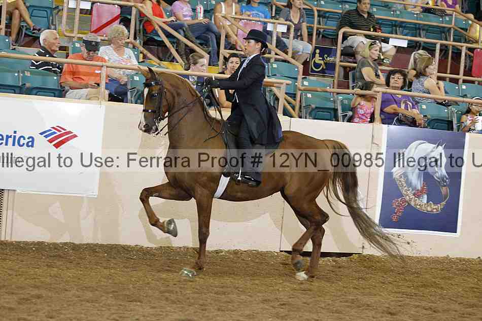 Proof 12yn_00985
