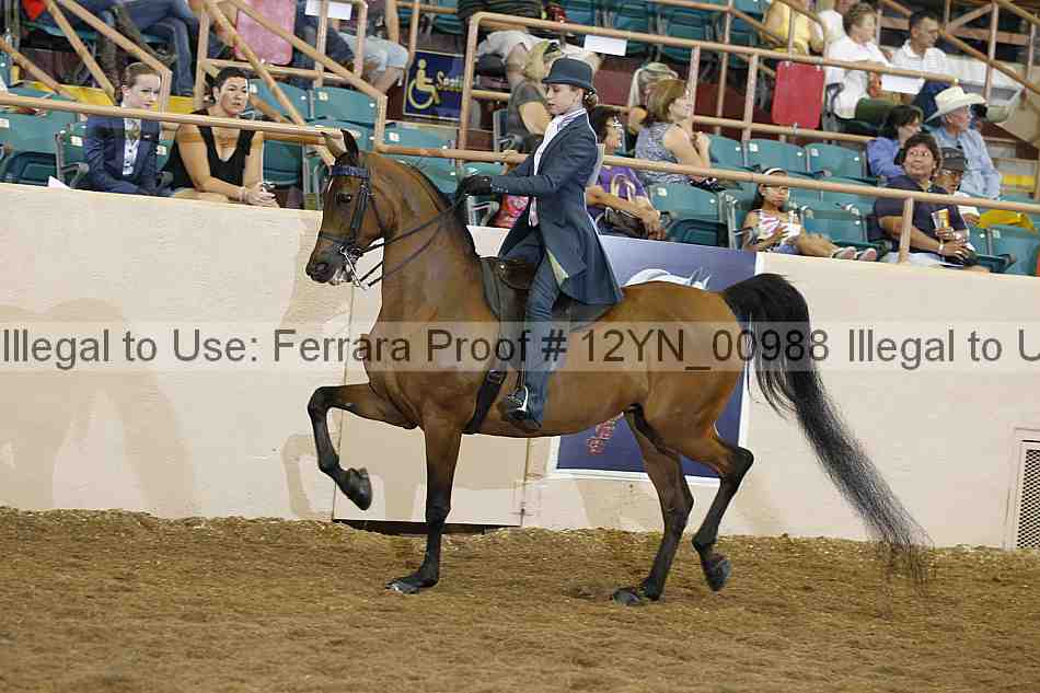 Proof 12yn_00988