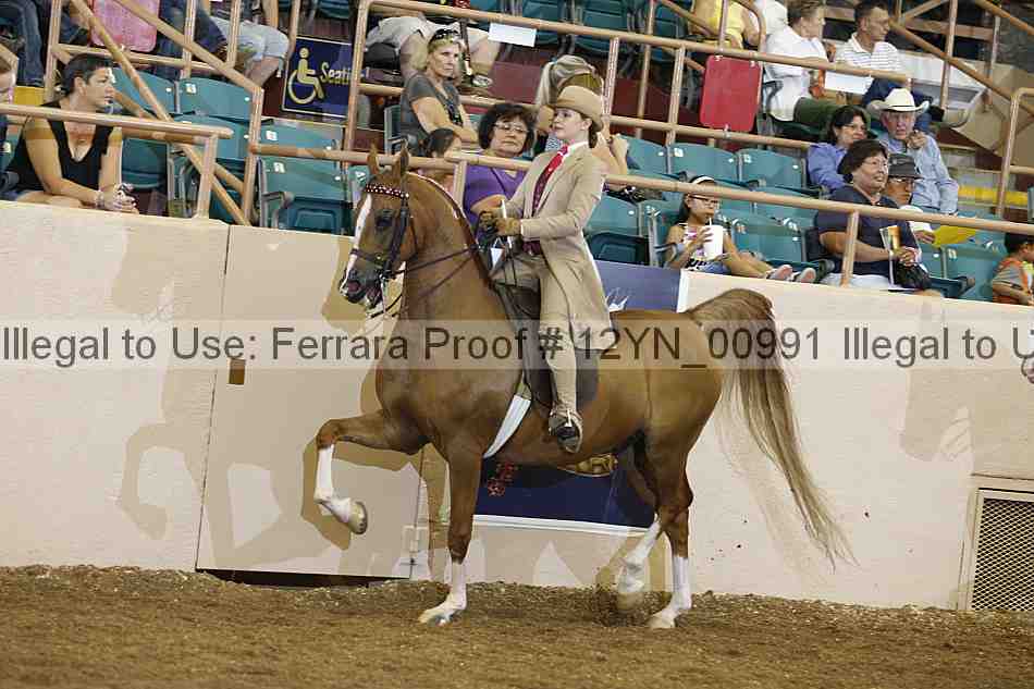 Proof 12yn_00991