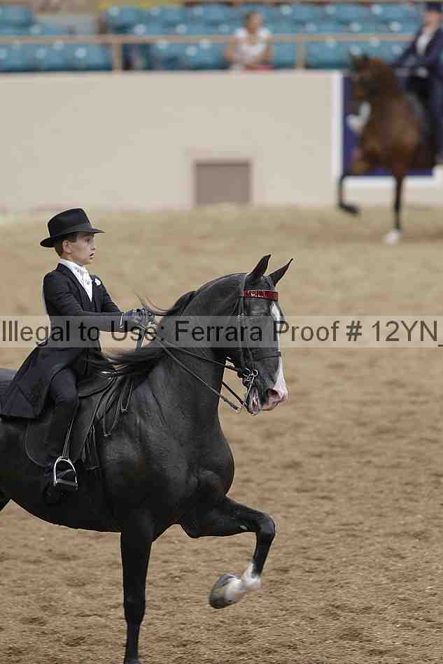 Proof 12yn_00993
