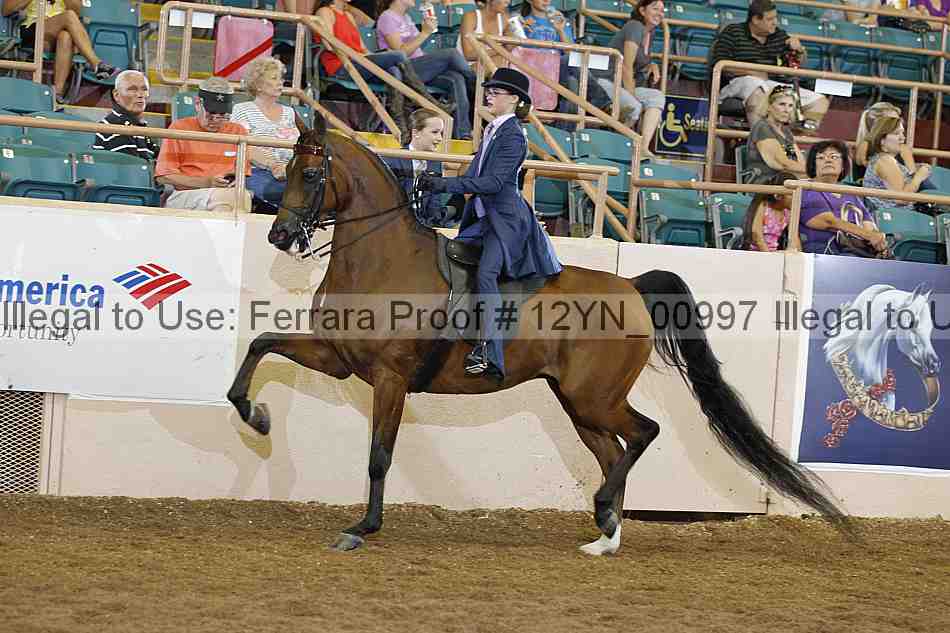 Proof 12yn_00997