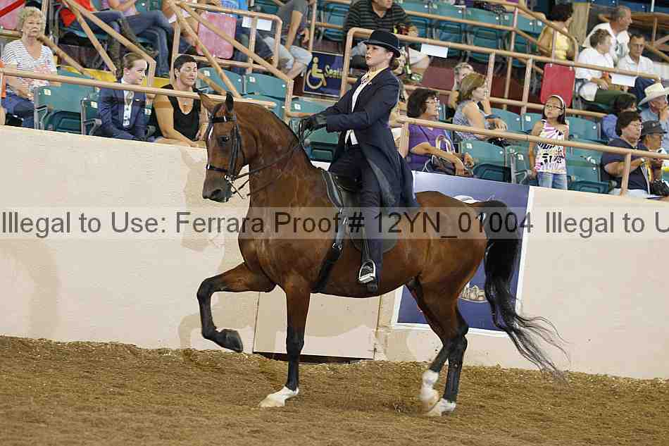 Proof 12yn_01004