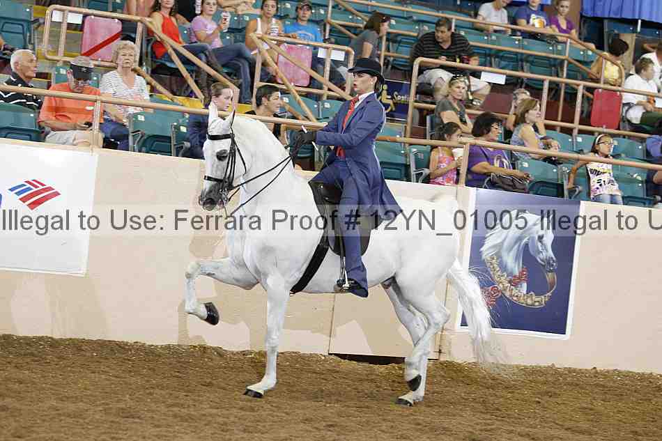 Proof 12yn_01005