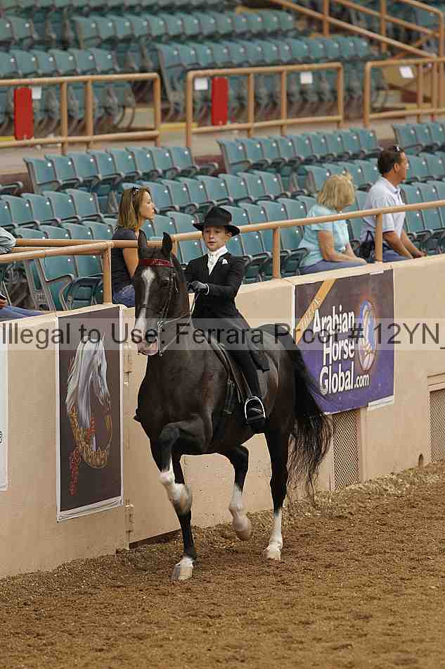 Proof 12yn_01006