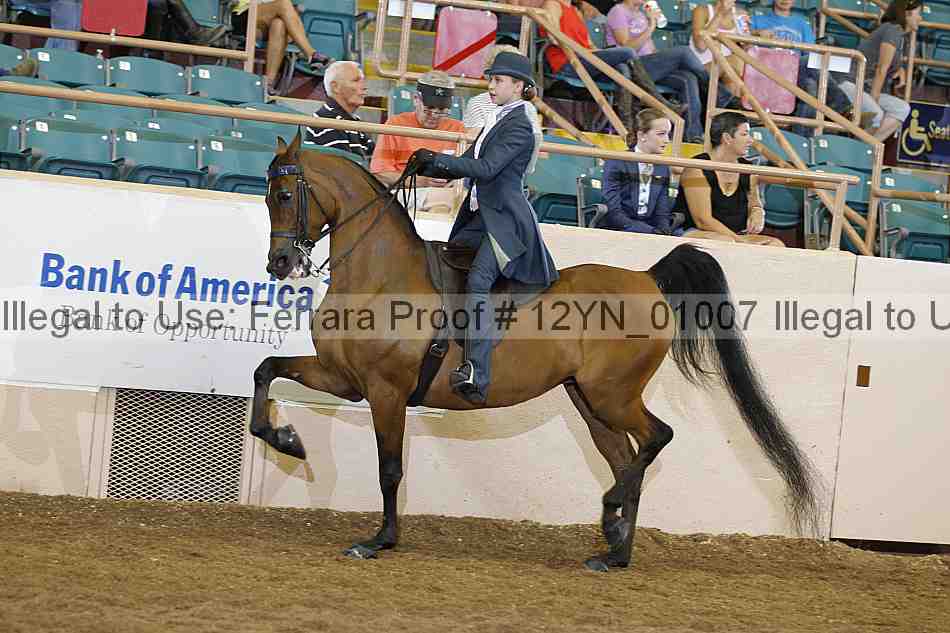 Proof 12yn_01007