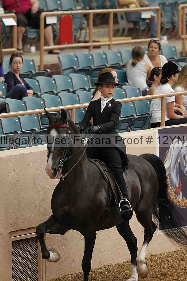 Proof 12yn_01008