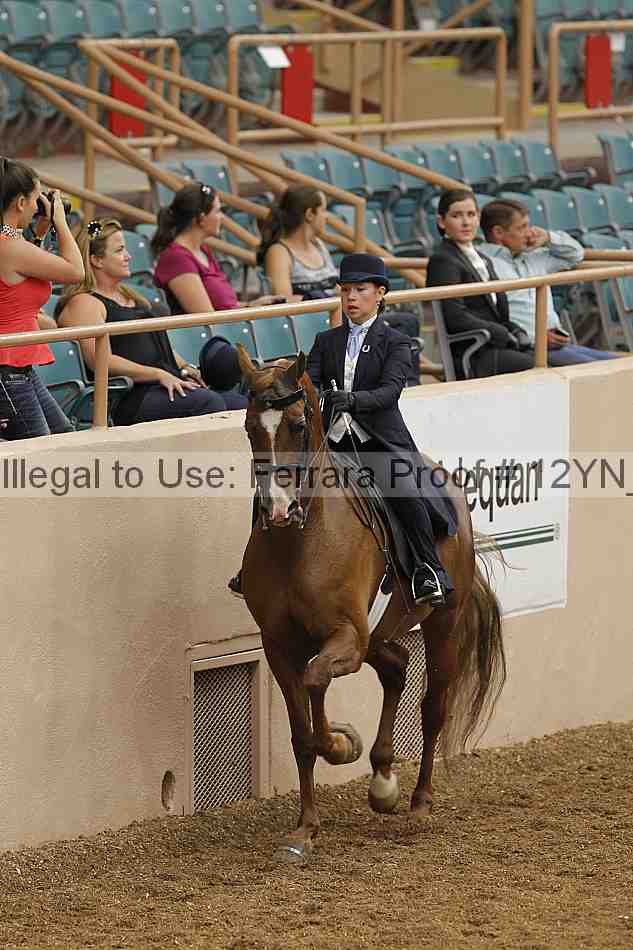 Proof 12yn_01009