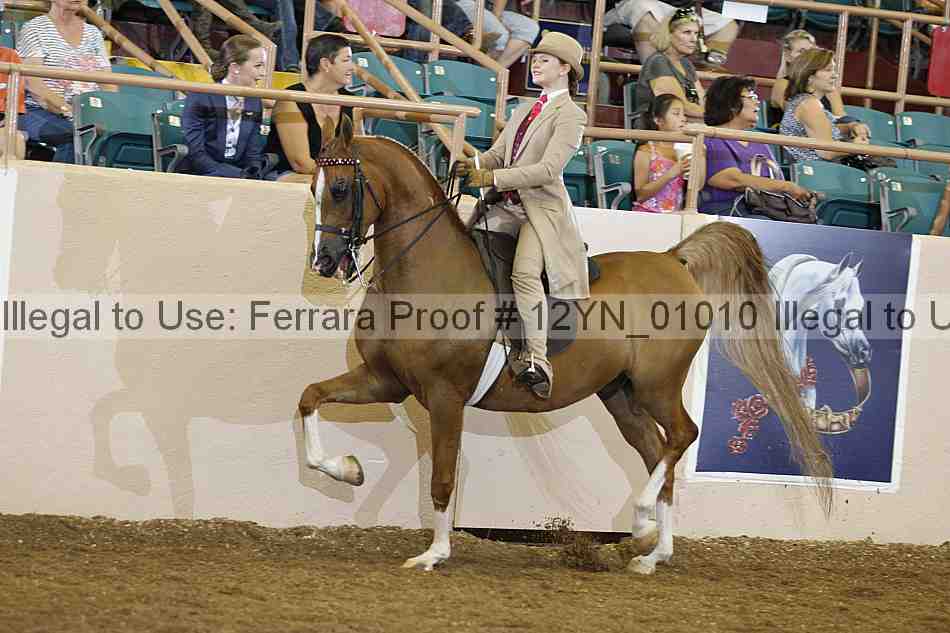 Proof 12yn_01010