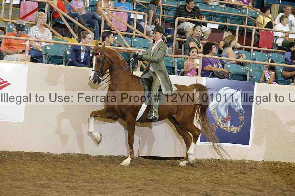 Proof 12yn_01011