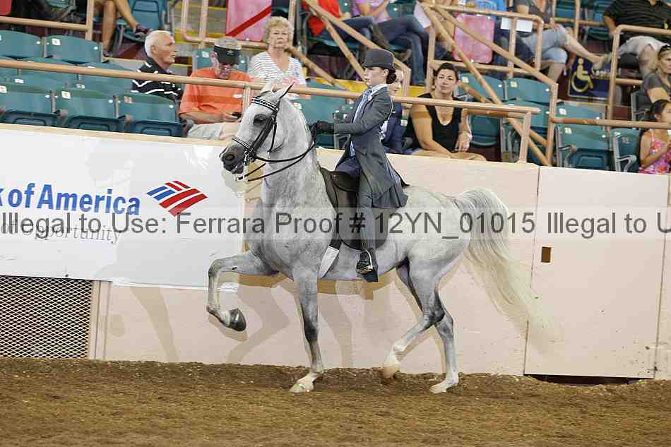 Proof 12yn_01015