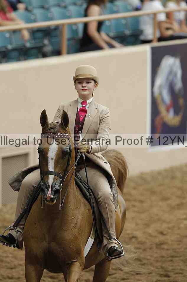 Proof 12yn_01019